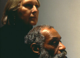 Leo and Diane Dillon –  Books-  On-Site
